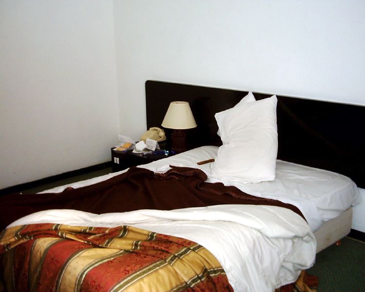 dsci0002.jpg