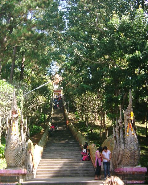 dsci0057.jpg