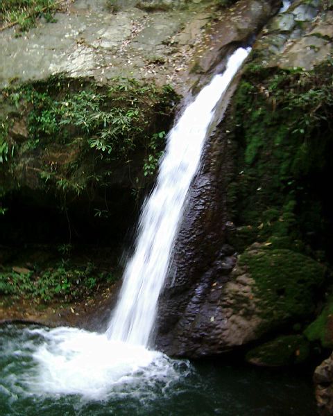 dsci0060.jpg