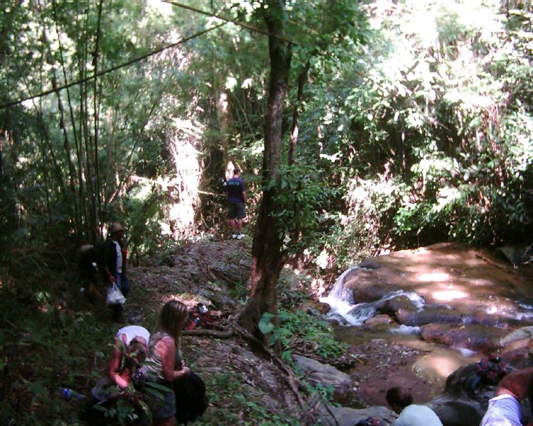 dsci0062.jpg