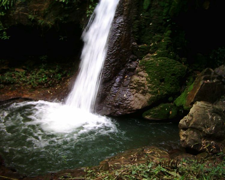 dsci0063.jpg