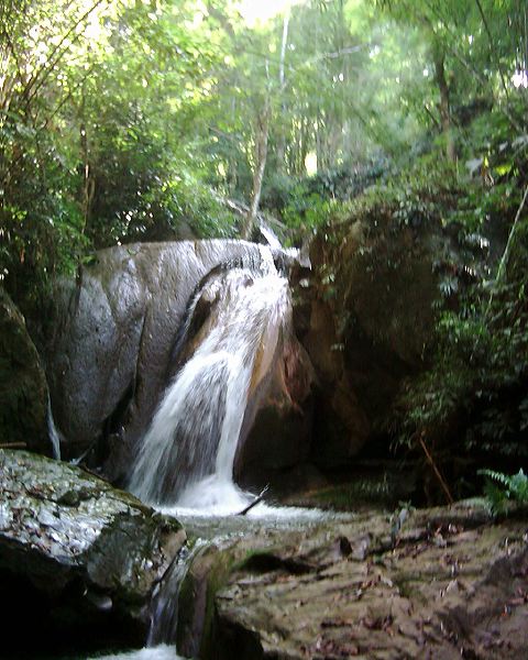 dsci0065.jpg