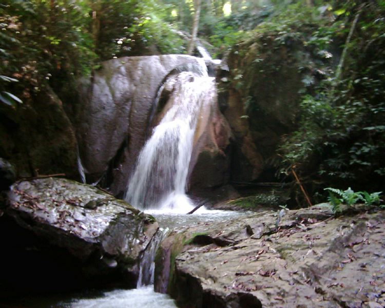 dsci0066.jpg