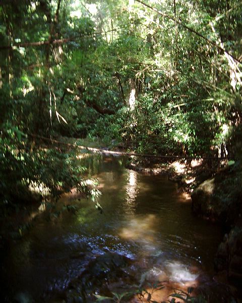 dsci0068.jpg
