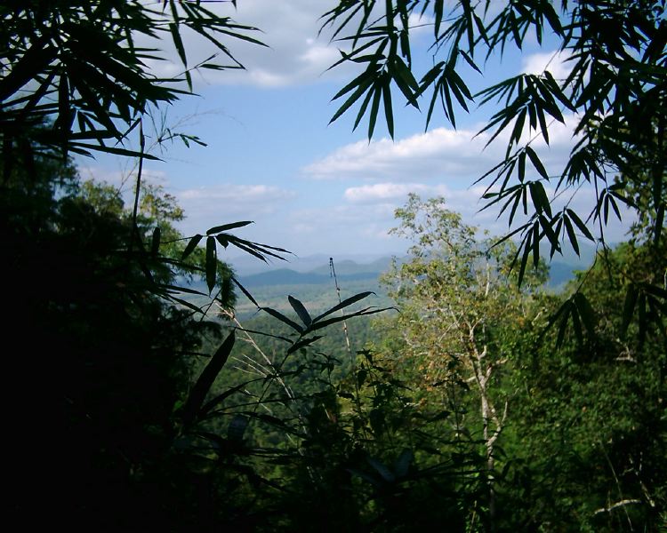 dsci0073.jpg