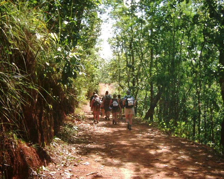 dsci0099.jpg