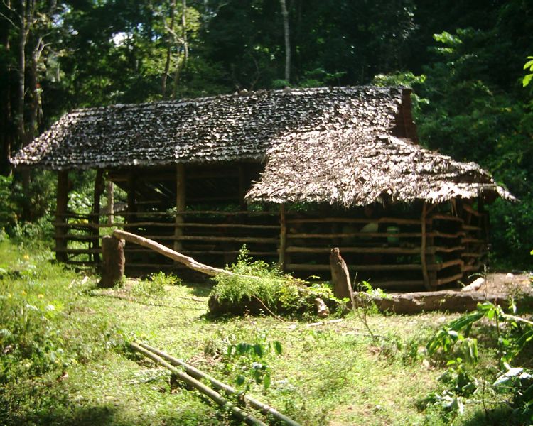 dsci0102.jpg