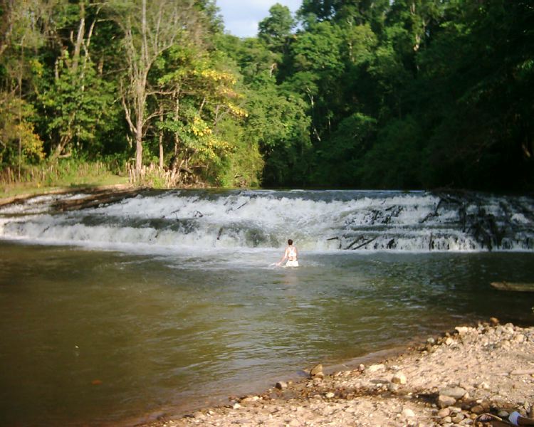 dsci0103.jpg