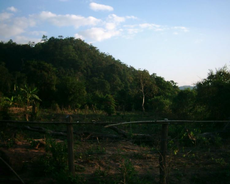 dsci0106.jpg