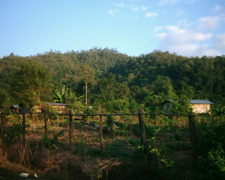 dsci0109.jpg