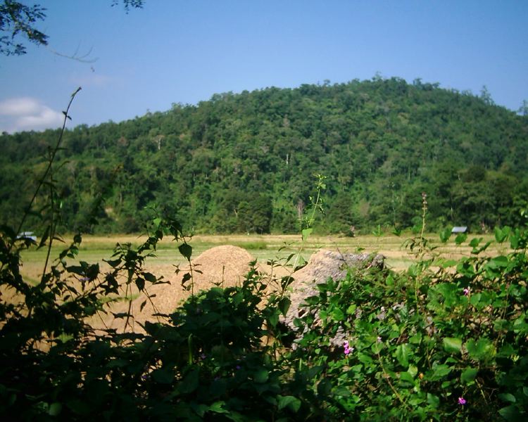 dsci0119.jpg