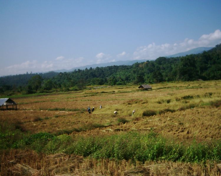 dsci0120.jpg
