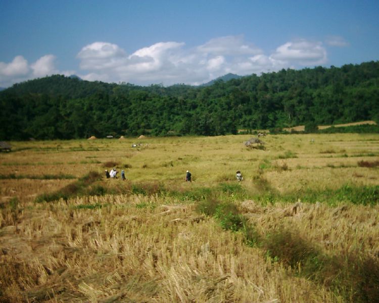 dsci0121.jpg