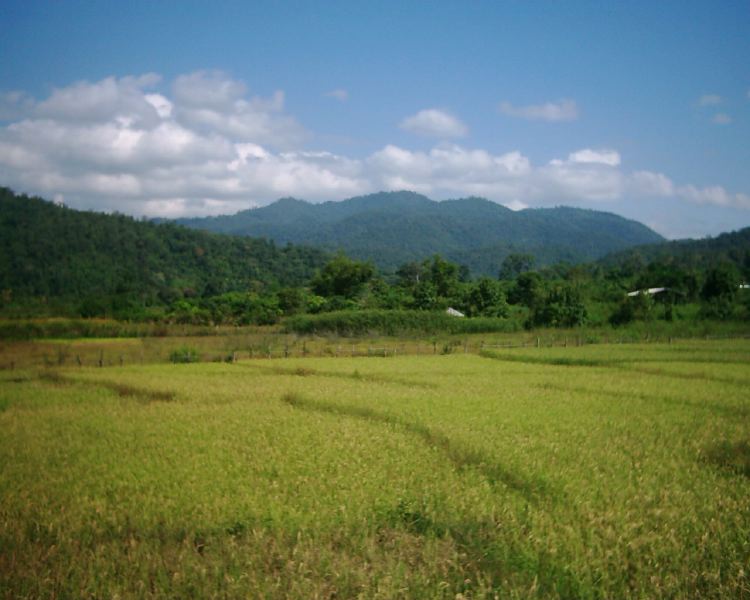 dsci0122.jpg
