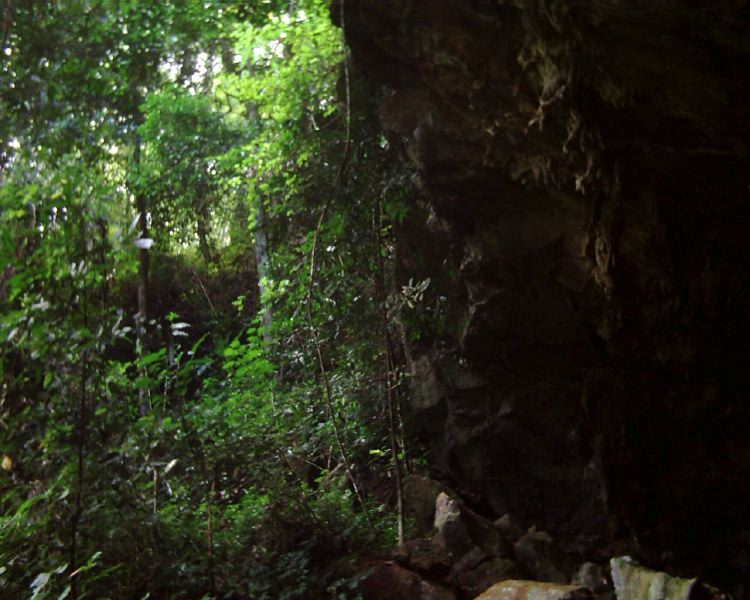 dsci0130.jpg