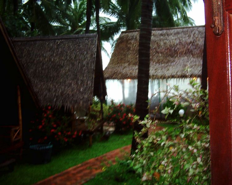 dsci0138.jpg