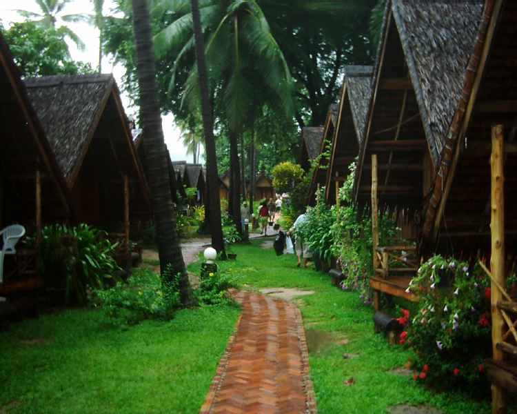 dsci0142.jpg