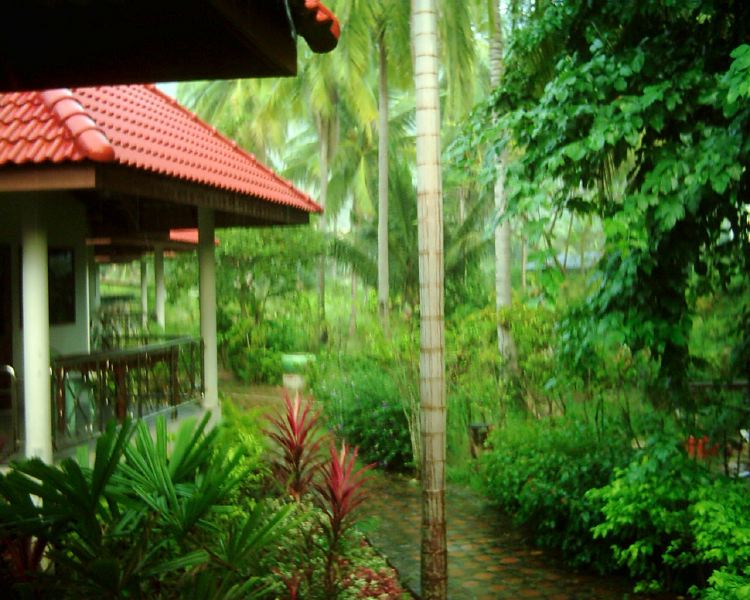 dsci0210.jpg