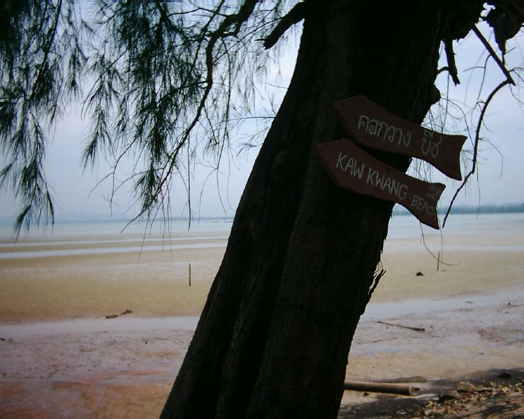 dsci0217.jpg