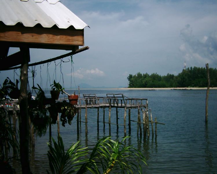 dsci0223.jpg