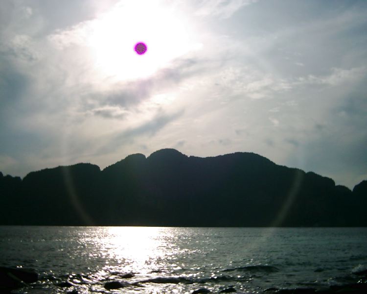 dsci0231.jpg