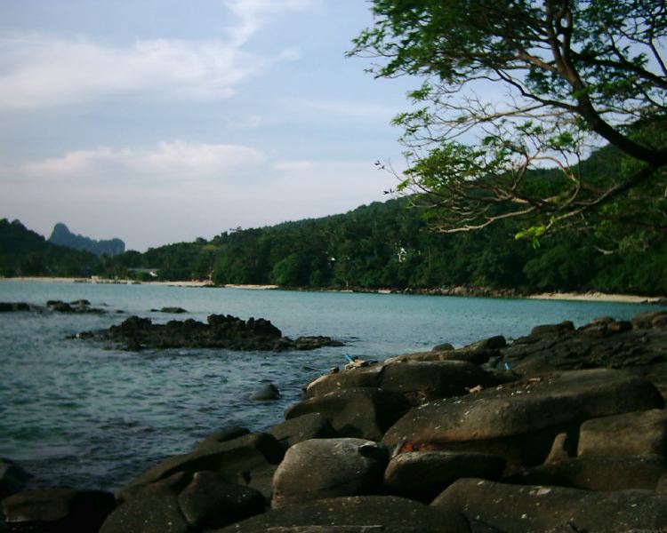 dsci0232.jpg