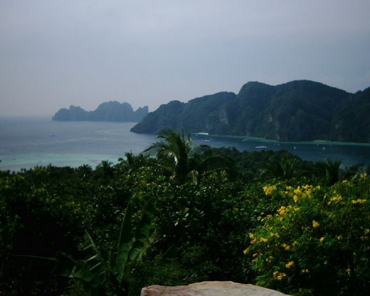 dsci0240.jpg