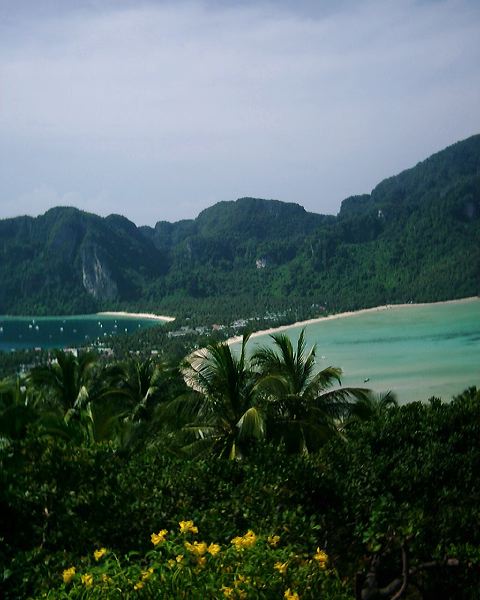 dsci0243.jpg