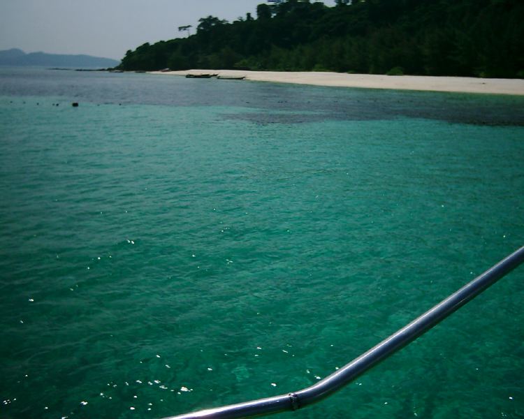dsci0260.jpg