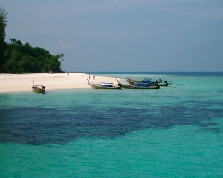 dsci0261.jpg
