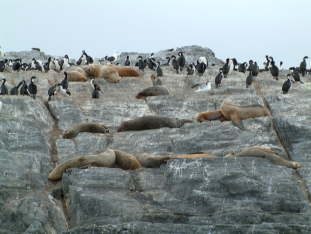dscf0040.jpg