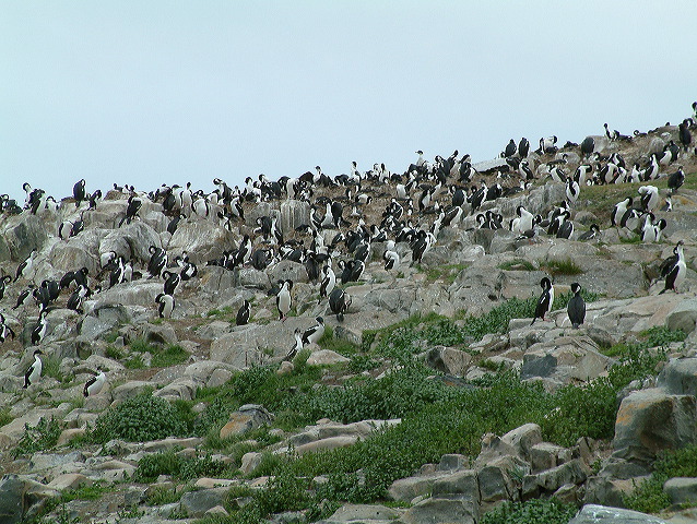 dscf0044.jpg