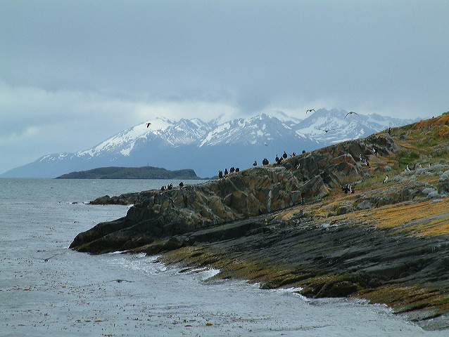dscf0051.jpg