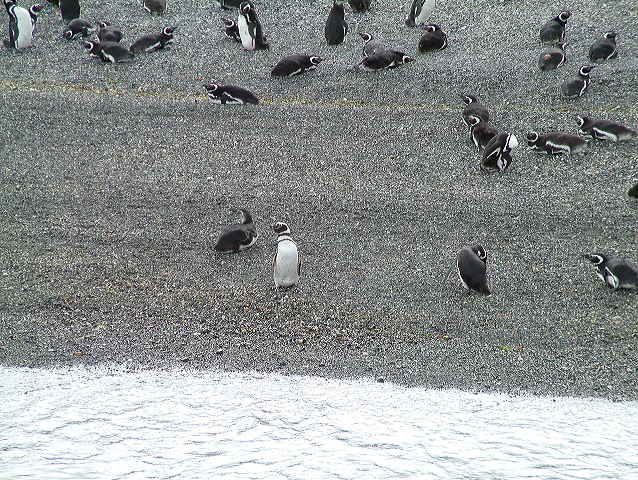 dscf0059.jpg