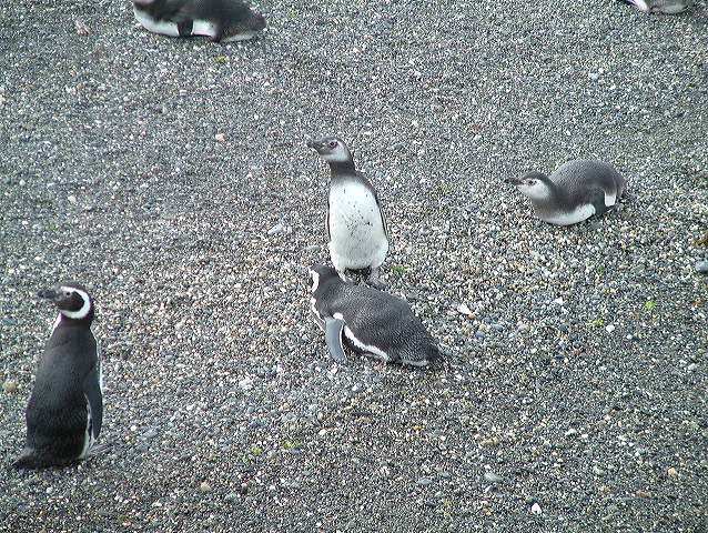 dscf0064.jpg