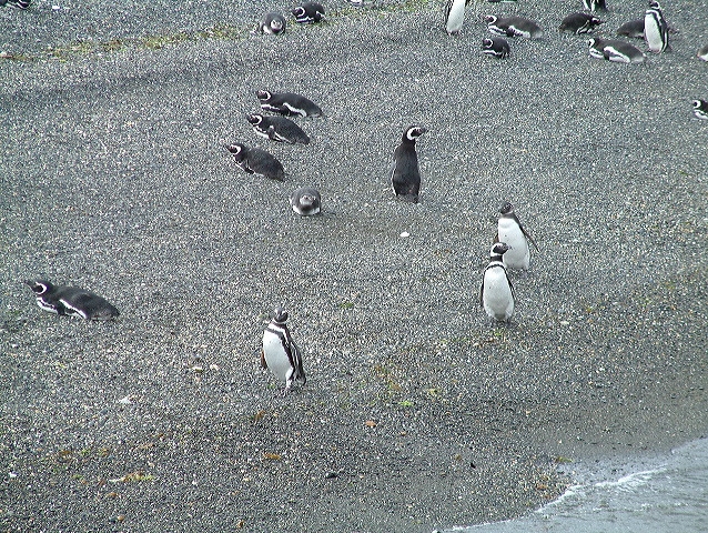 dscf0066.jpg