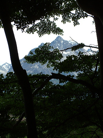 dscf0096.jpg