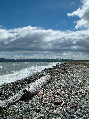 dscf0103.jpg