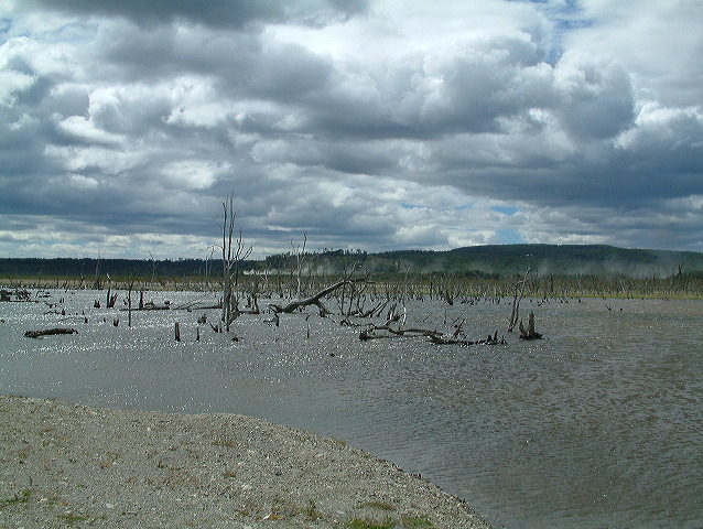 dscf0107.jpg