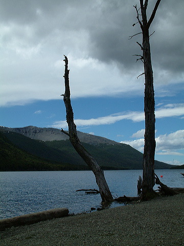 dscf0116.jpg
