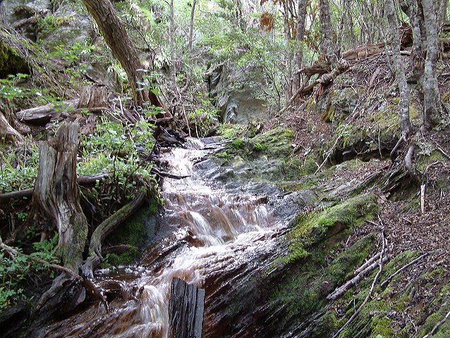 dscf0130.jpg