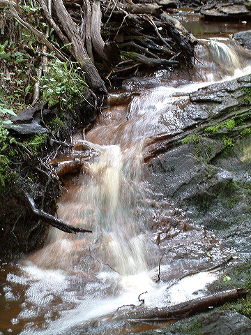 dscf0134.jpg