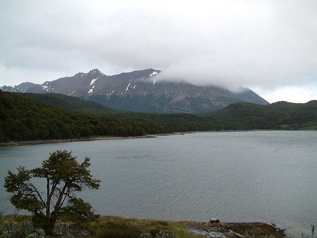 dscf0136.jpg