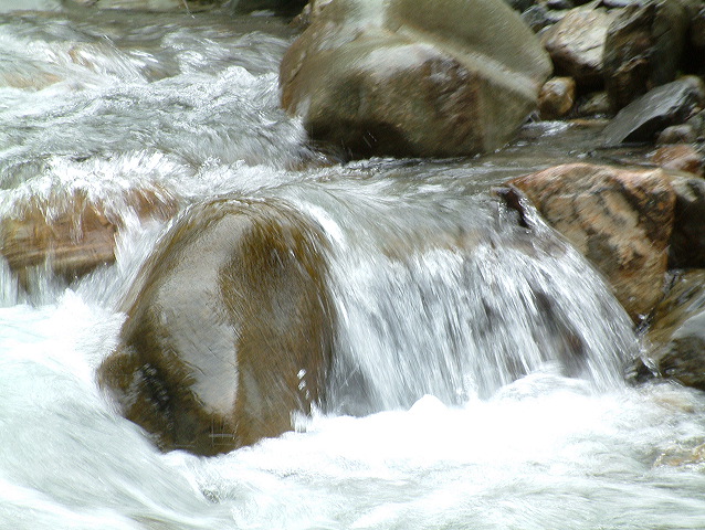 dscf0141.jpg