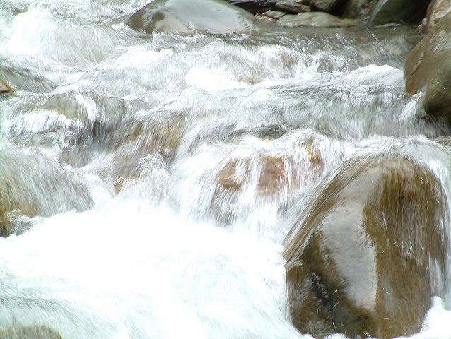 dscf0142.jpg