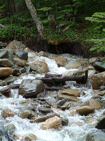 dscf0144.jpg