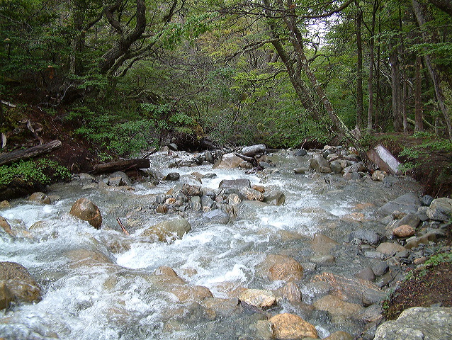 dscf0145.jpg