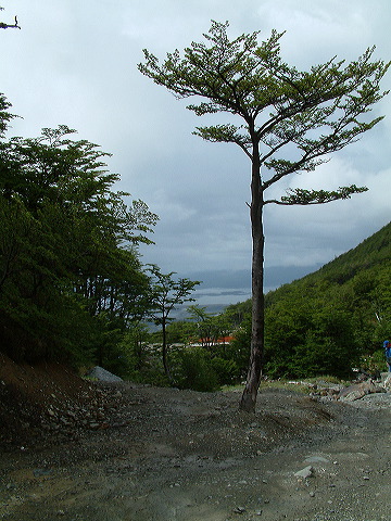 dscf0171.jpg