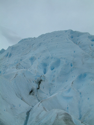 dscf0303.jpg