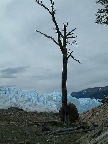 dscf0316.jpg